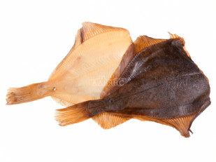 Главная: Камбала холодного копчения